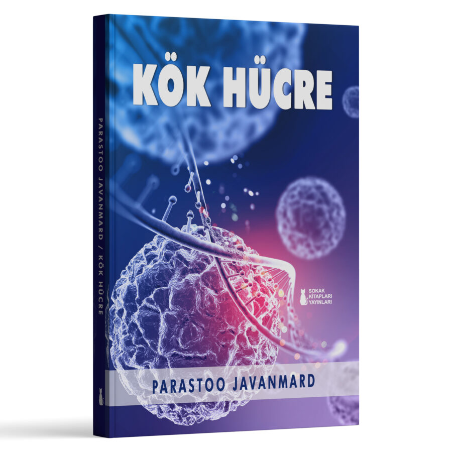 PARASTOO JAVANMARD - KÖK HÜCRE